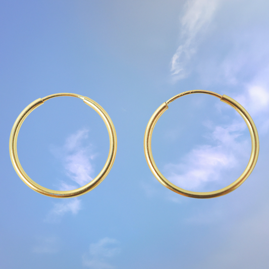 Petite Sleeper Hoops by Quinney Collection 14k Gold Filled jewelry. Made in Victoria BC Canada